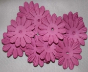 AS4E - 32mm Dark Pink Daisy 